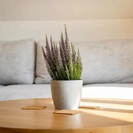 Apartroom 18 Apartment *