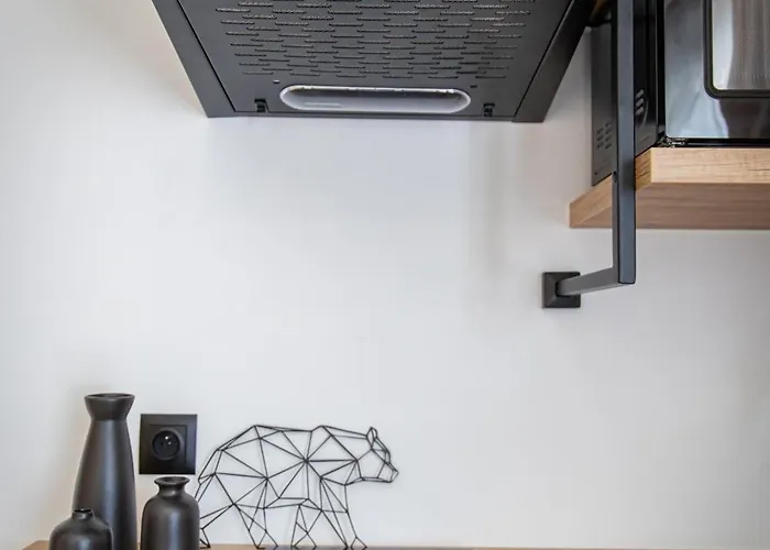 アパート Apartroom 18 ザコパネ