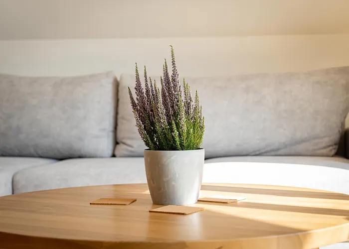 Apartroom 18 アパート *