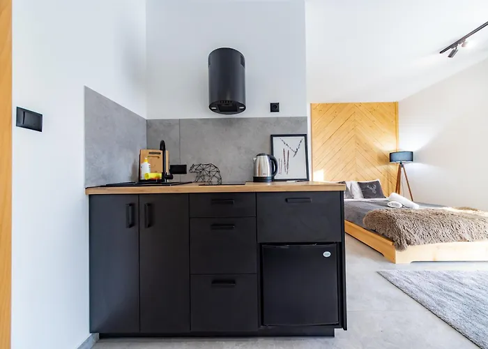 Apartroom 18 * זקופאנה