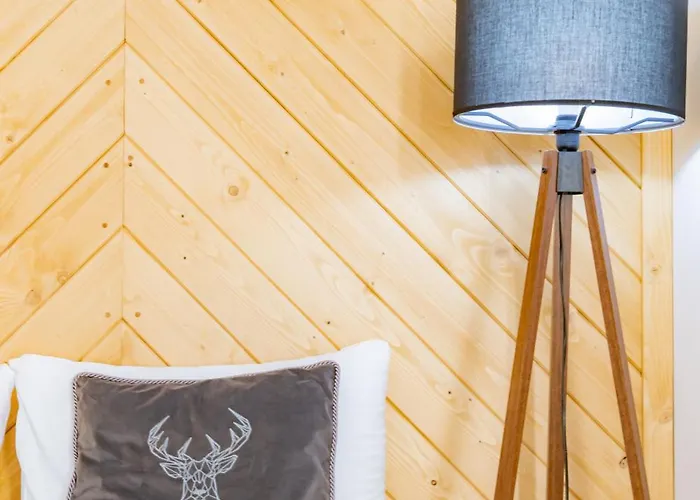 Apartroom 18 זקופאנה